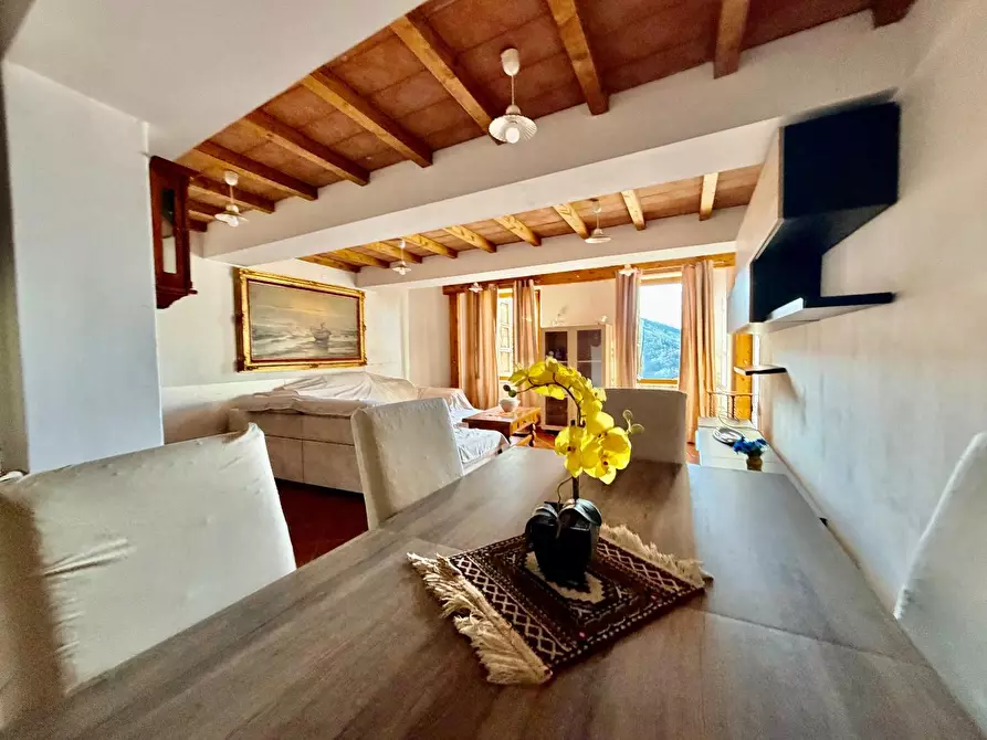 Immagine 8 di Terratetto in vendita  a Massa