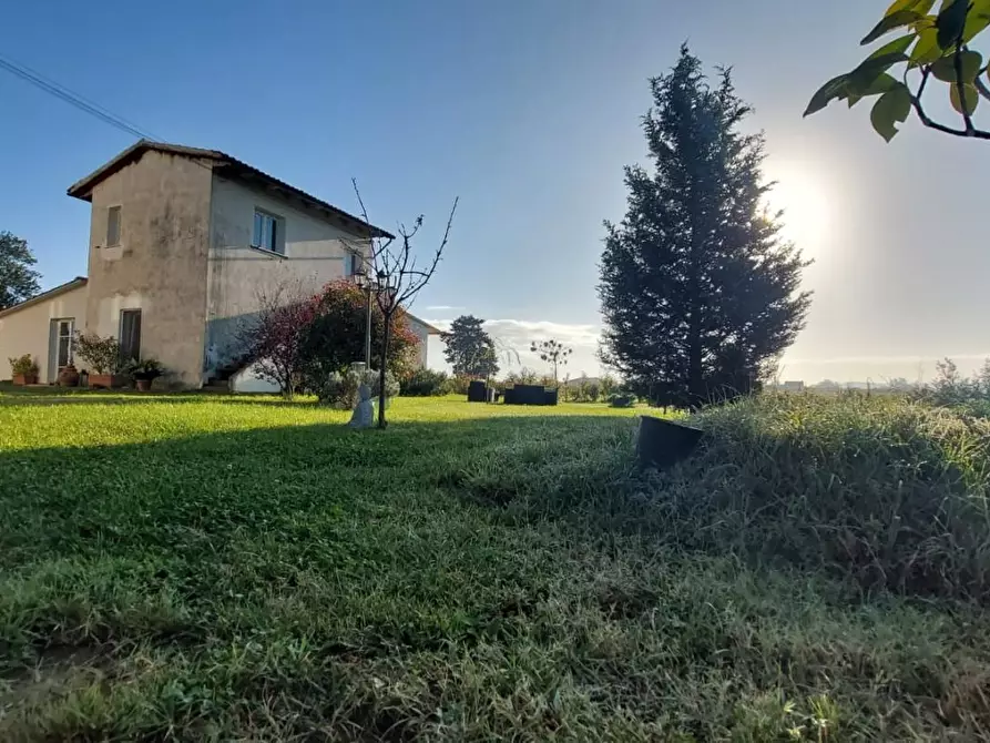 Immagine 5 di Porzione di casa in vendita  a Santa Maria A Monte