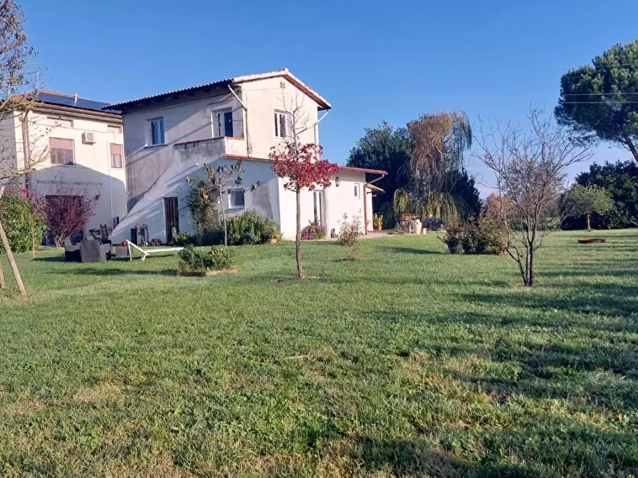 Immagine 11 di Porzione di casa in vendita  a Santa Maria A Monte