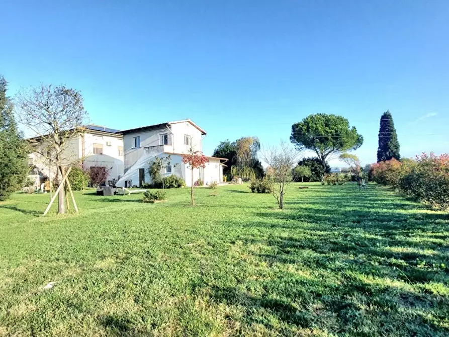 Immagine 14 di Porzione di casa in vendita  a Santa Maria A Monte