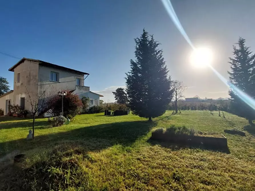 Immagine 16 di Porzione di casa in vendita  a Santa Maria A Monte