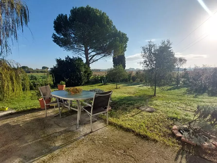 Immagine 15 di Porzione di casa in vendita  a Santa Maria A Monte