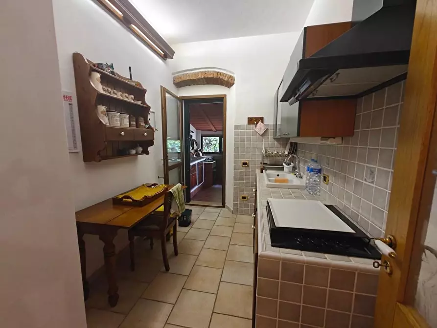 Immagine 16 di Rustico / casale in vendita  a Rosignano Marittimo