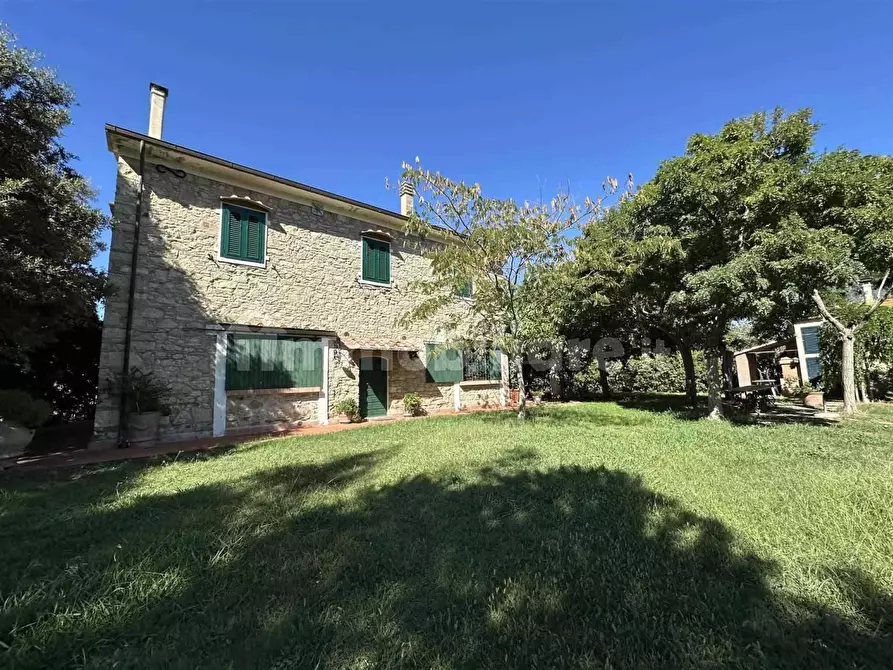 Immagine 2 di Rustico / casale in vendita  a Rosignano Marittimo