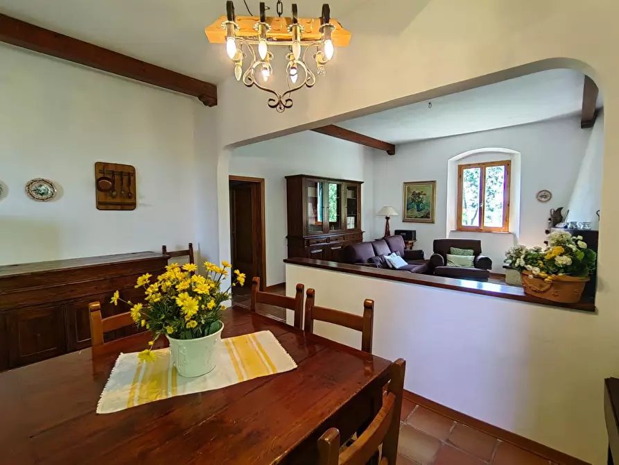 Immagine 5 di Rustico / casale in vendita  a Rosignano Marittimo