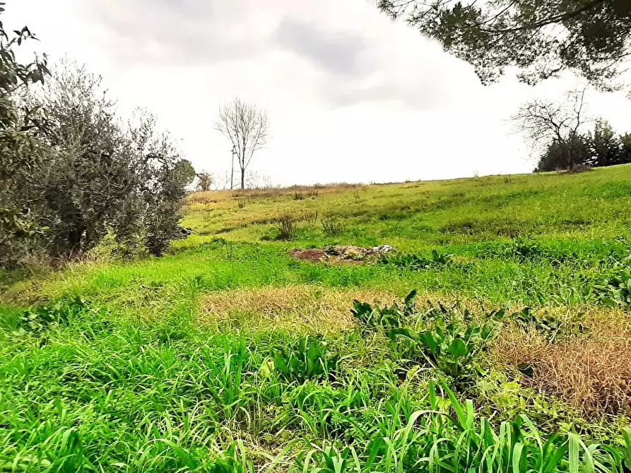 Immagine 8 di Villa in vendita  a Castellina Marittima