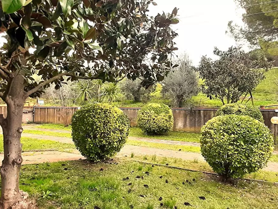 Immagine 5 di Villa in vendita  a Castellina Marittima