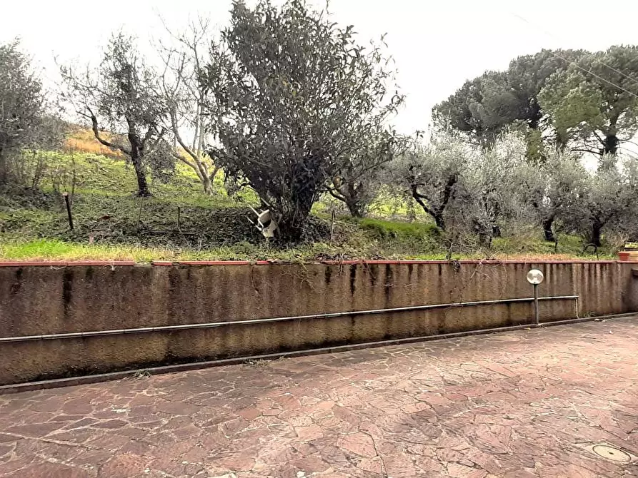 Immagine 7 di Villa in vendita  a Castellina Marittima