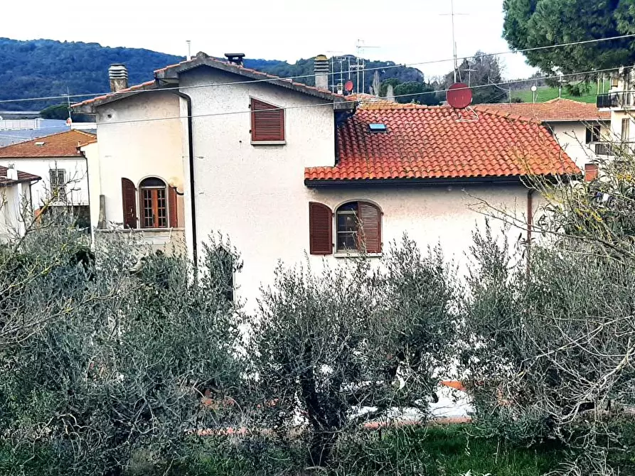 Immagine 4 di Villa in vendita  a Castellina Marittima
