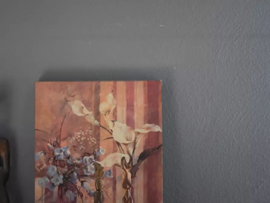 Immagine 47 di Appartamento in vendita  a Carrara