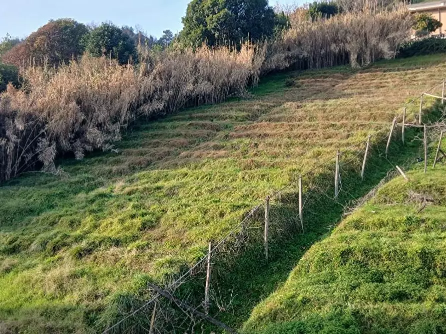 Immagine 16 di Appartamento in vendita  a Carrara