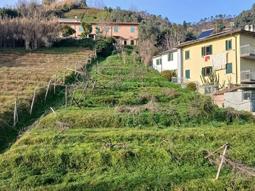 Immagine 17 di Appartamento in vendita  a Carrara