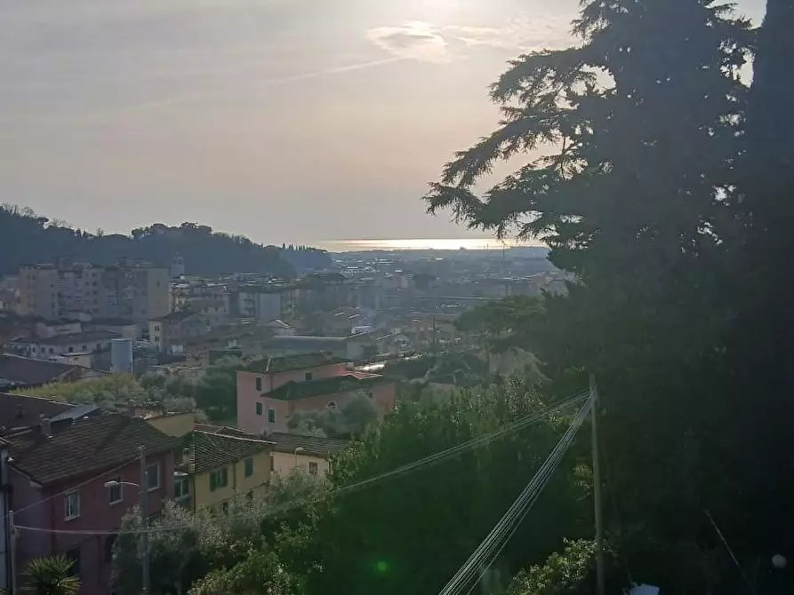 Immagine 2 di Appartamento in vendita  a Carrara