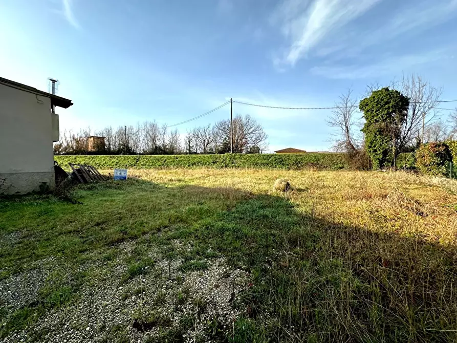 Immagine 4 di Attività artigianale in vendita  a Capannori