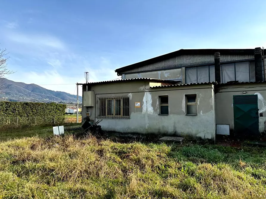 Immagine 7 di Attività artigianale in vendita  a Capannori