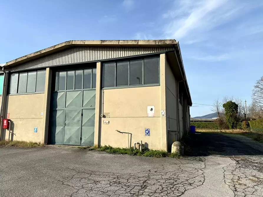 Immagine 5 di Attività artigianale in vendita  a Capannori