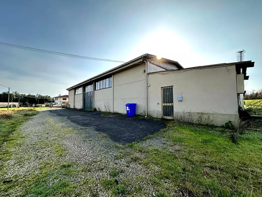 Immagine 3 di Attività artigianale in vendita  a Capannori