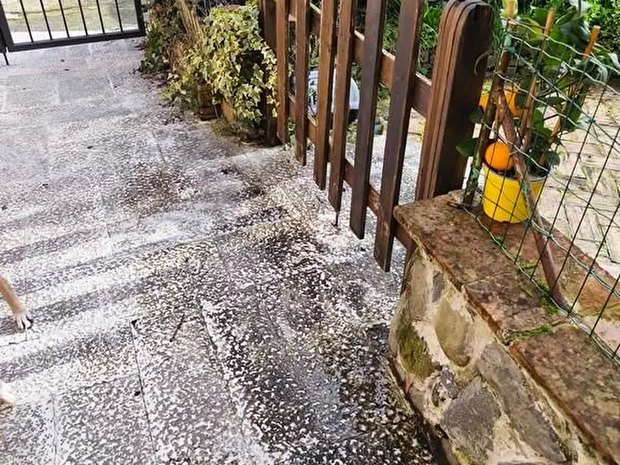 Immagine 34 di Casa semindipendente in vendita  a Carrara