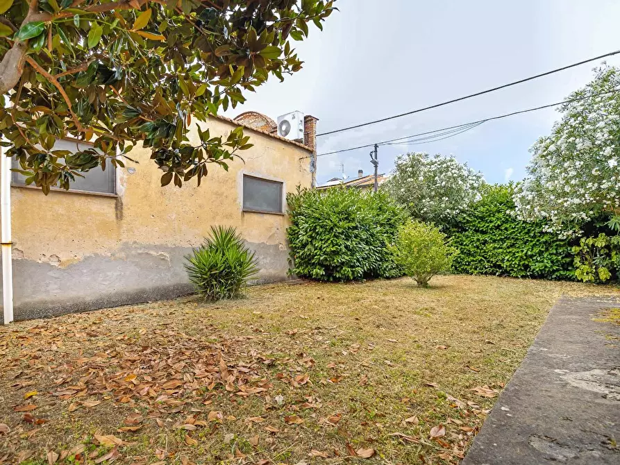 Immagine 5 di Casa indipendente in vendita  a Bientina