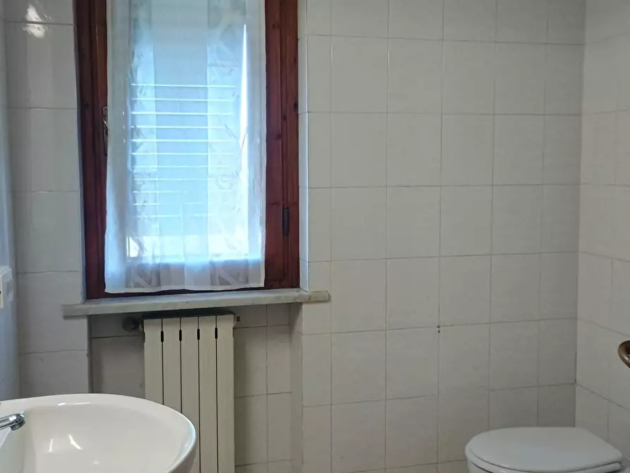 Immagine 6 di Appartamento in vendita  a Peccioli