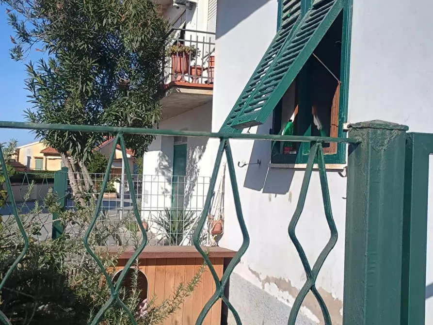 Immagine 9 di Appartamento in vendita  a Peccioli