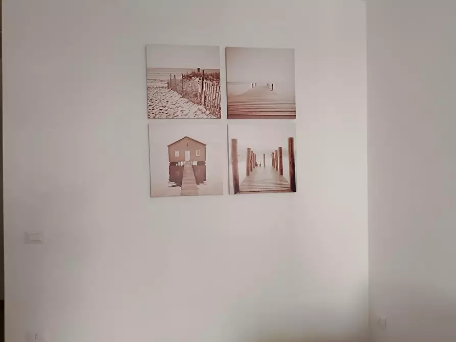 Immagine 21 di Appartamento in affitto  a Rosignano Marittimo