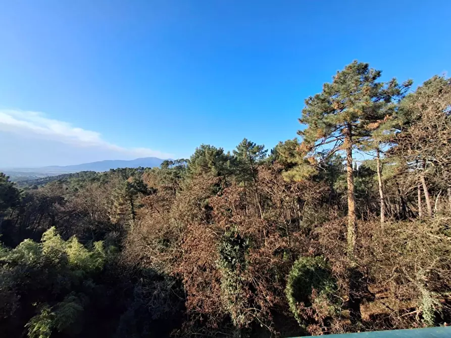 Immagine 10 di Appartamento in vendita  a Montecarlo