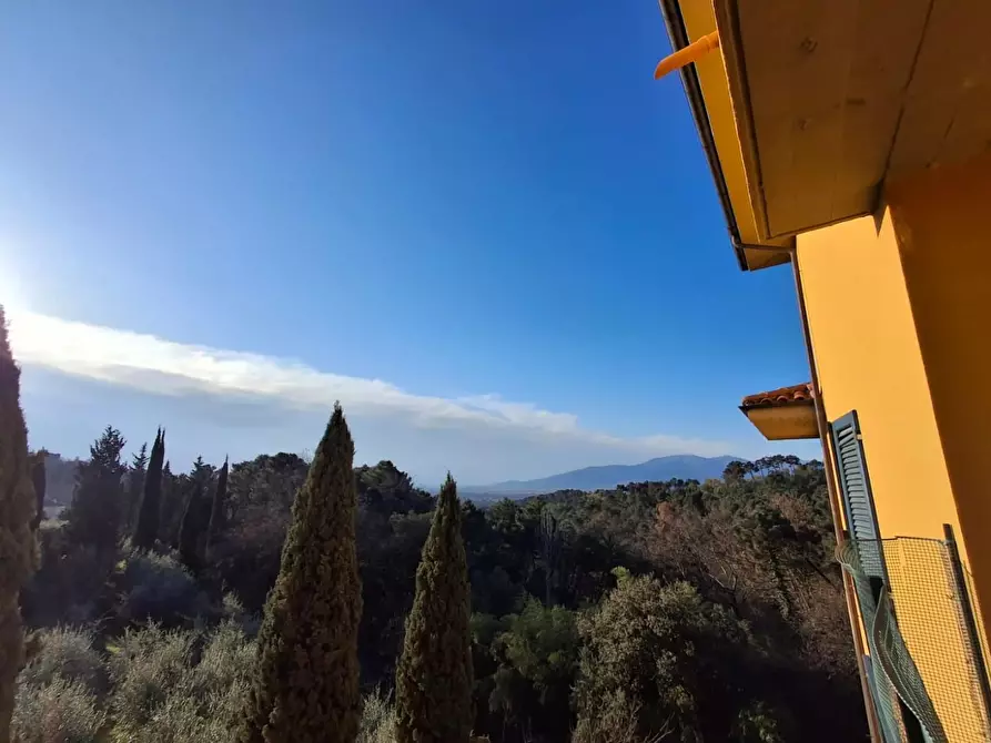 Immagine 8 di Appartamento in vendita  a Montecarlo