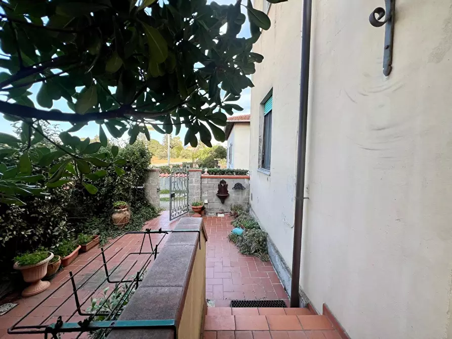 Immagine 6 di Appartamento in vendita  a Cecina