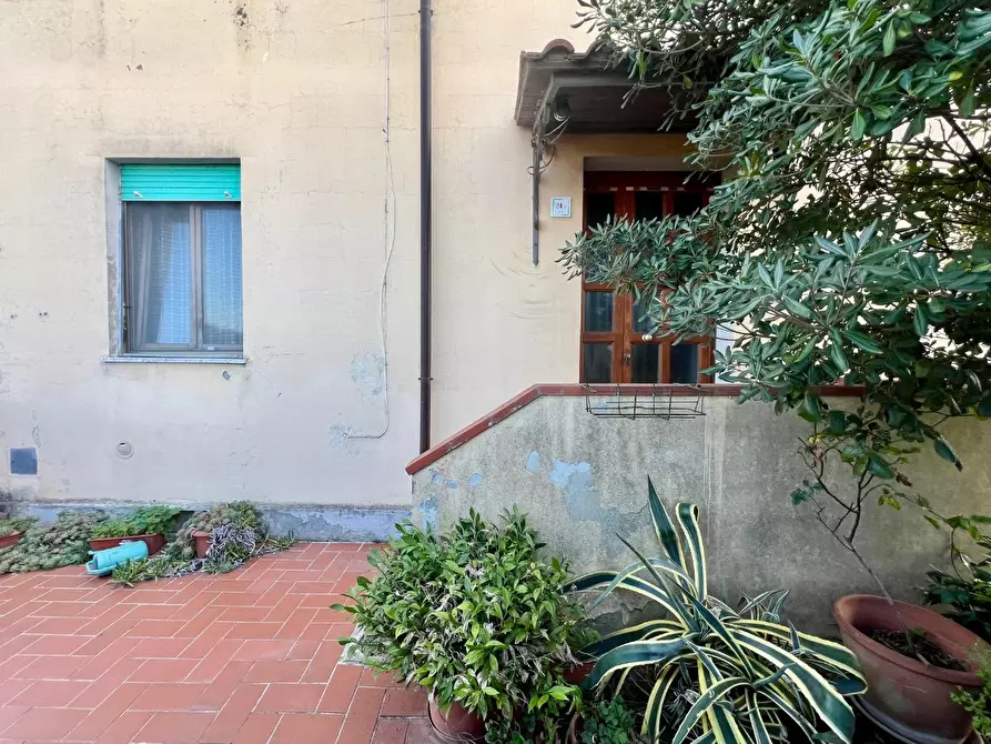 Immagine 14 di Appartamento in vendita  a Cecina