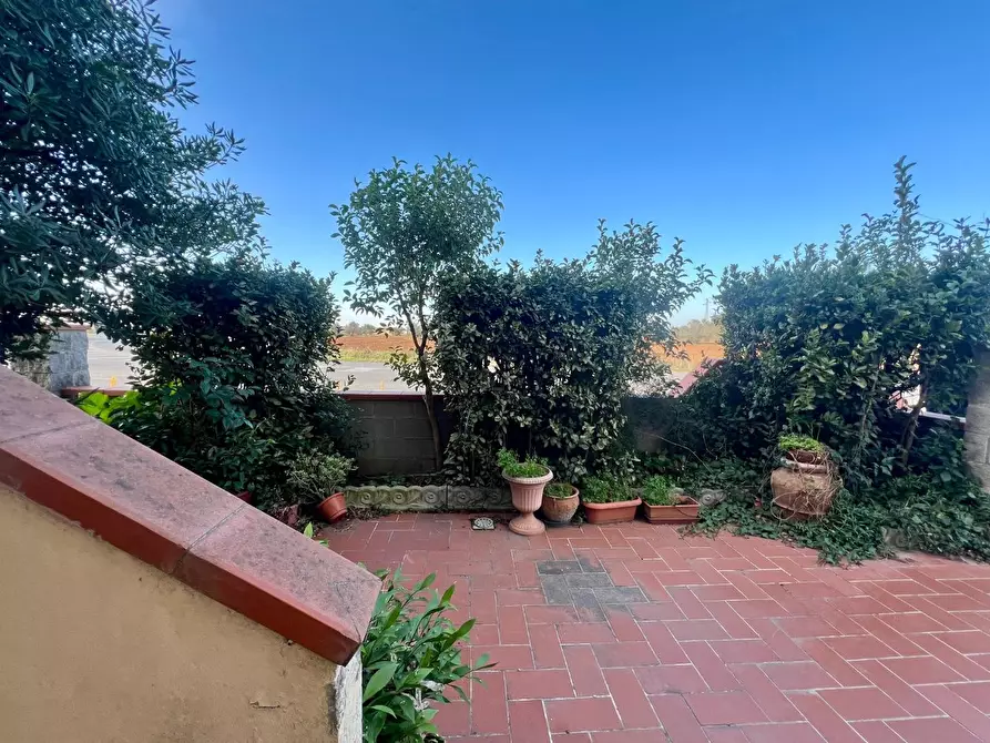 Immagine 2 di Appartamento in vendita  a Cecina