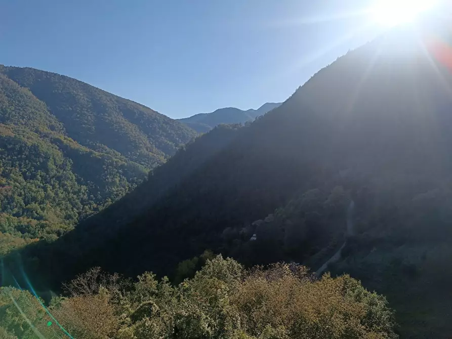 Immagine 24 di Appartamento in vendita  a Pescaglia