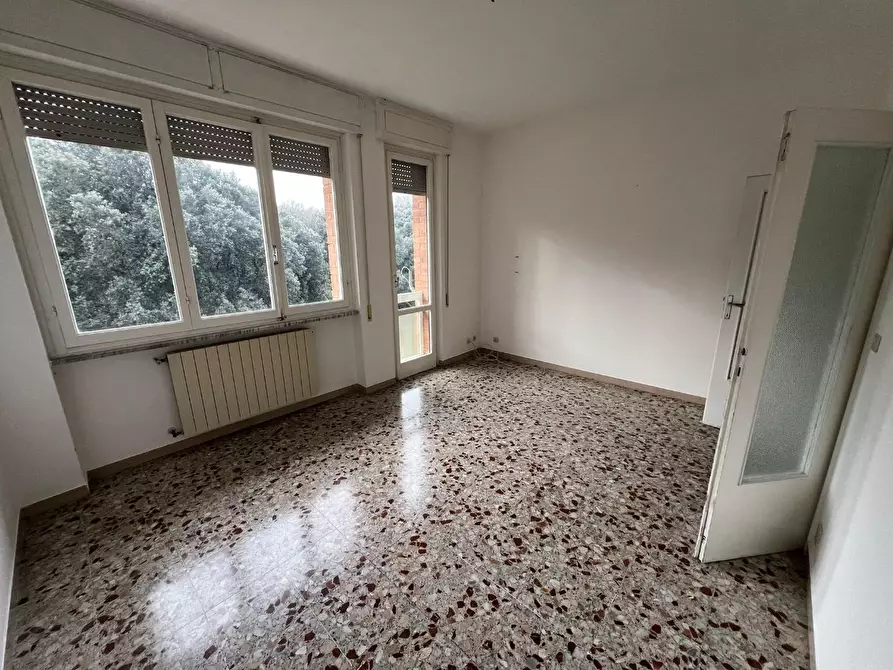 Immagine 6 di Appartamento in vendita  a Bibbona