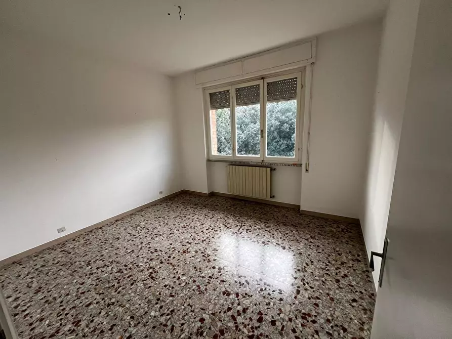 Immagine 9 di Appartamento in vendita  a Bibbona