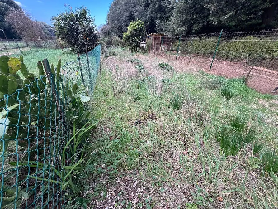 Immagine 1 di Appartamento in vendita  a Bibbona