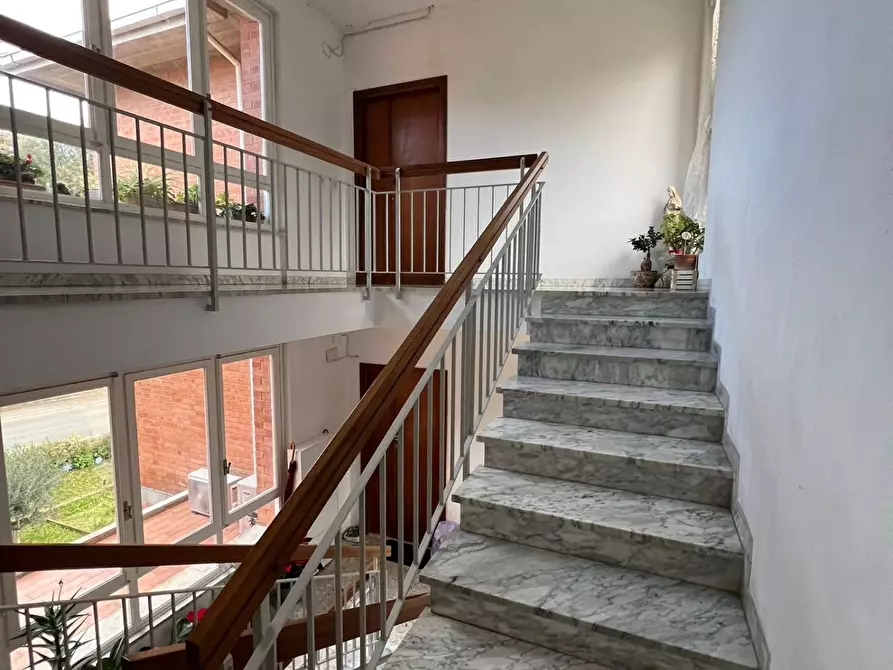 Immagine 2 di Appartamento in vendita  a Bibbona