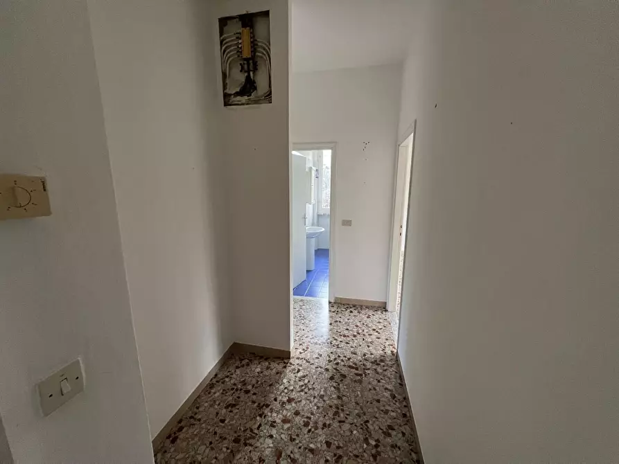 Immagine 5 di Appartamento in vendita  a Bibbona