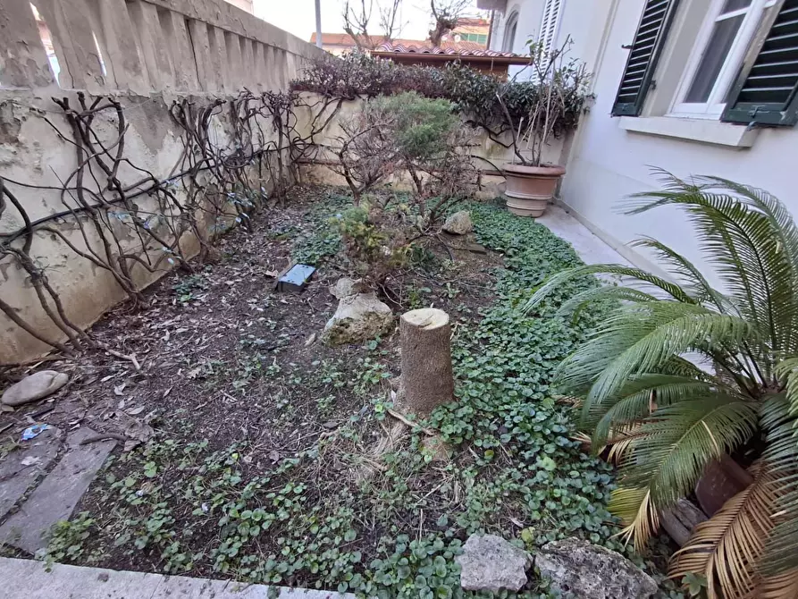 Immagine 23 di Terratetto in vendita  a Empoli