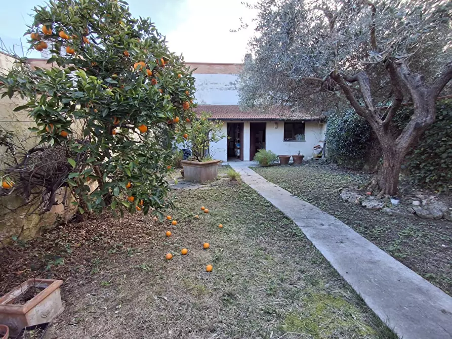 Immagine 21 di Terratetto in vendita  a Empoli