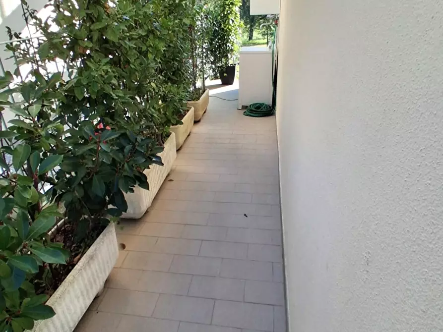 Immagine 4 di Villa in vendita  a Capannori