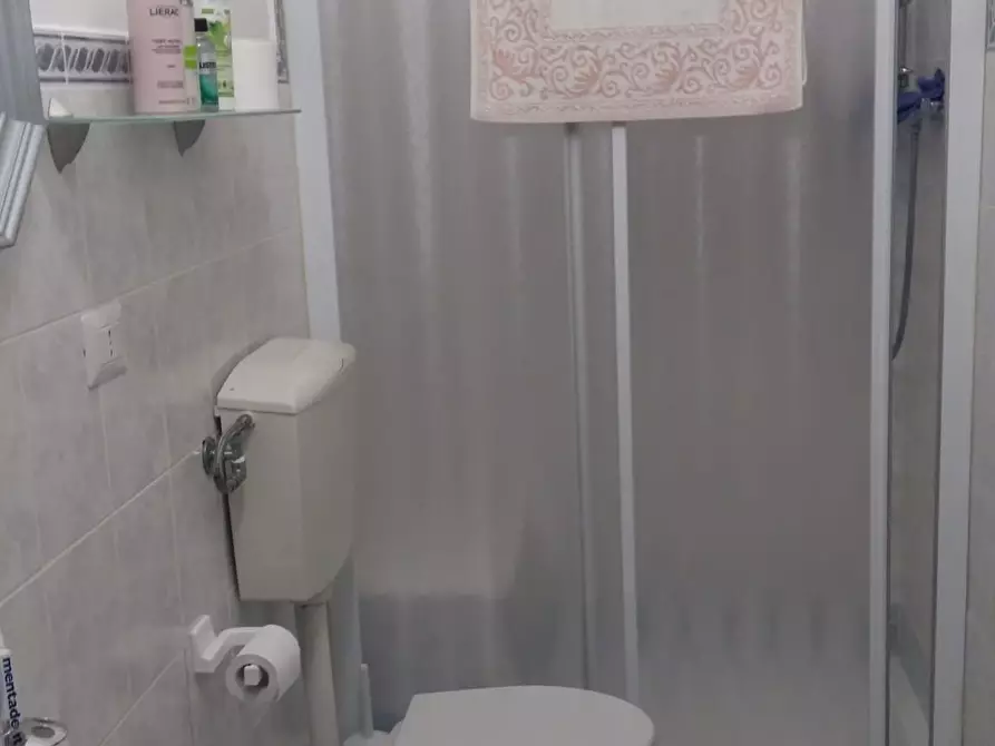 Immagine 8 di Appartamento in affitto  a Ortonovo