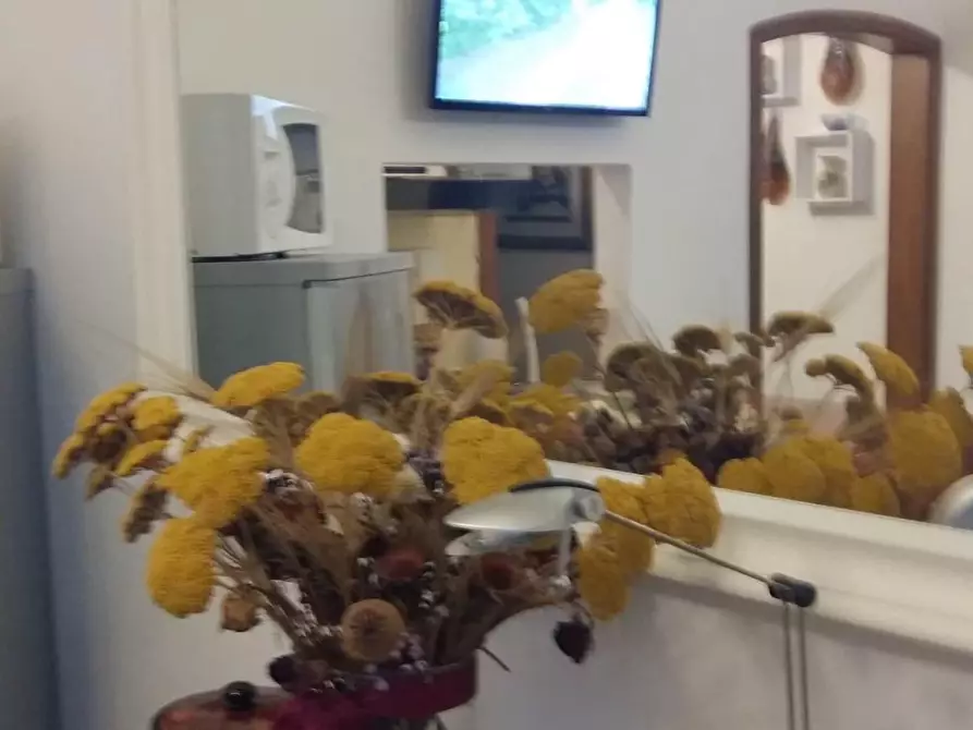 Immagine 11 di Appartamento in affitto  a Ortonovo