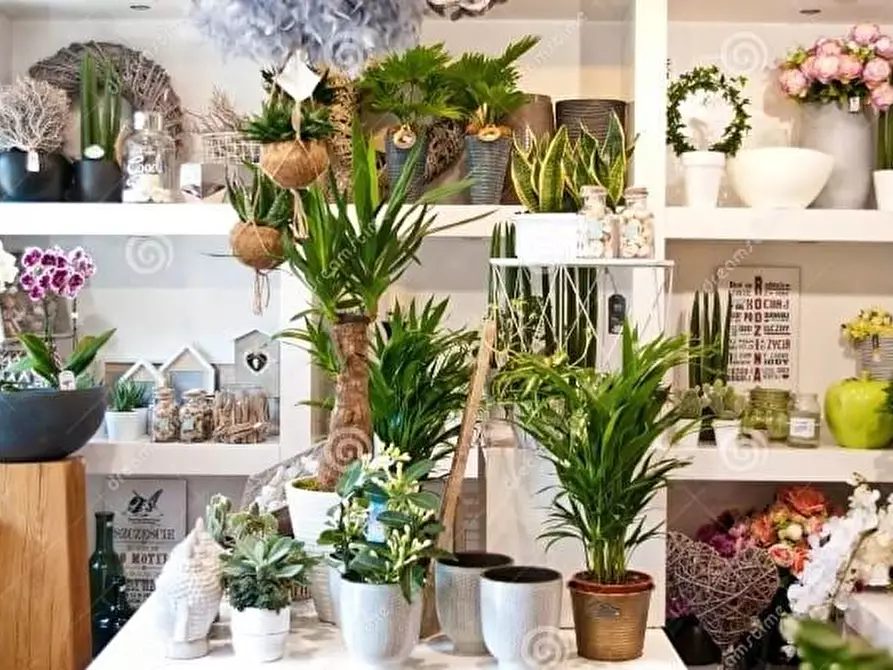 Immagine 1 di Negozio in affitto  a Pisa