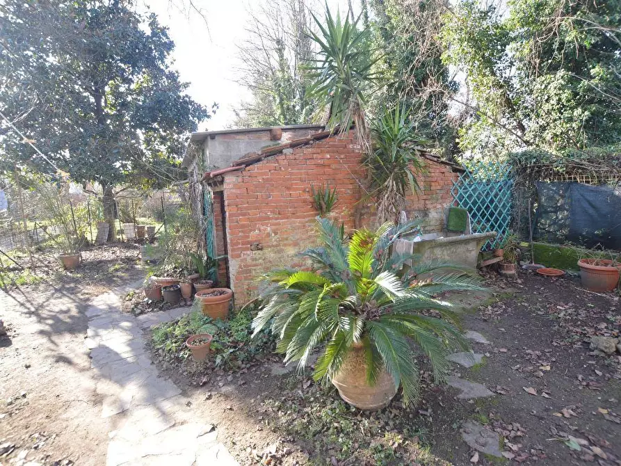 Immagine 18 di Casa bifamiliare in vendita  a Capannori