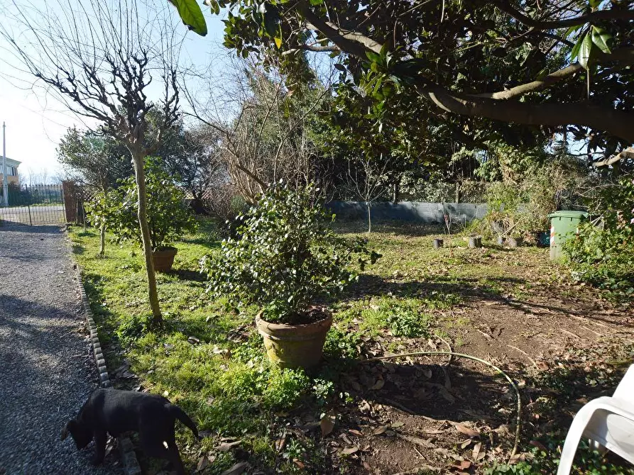 Immagine 23 di Casa bifamiliare in vendita  a Capannori