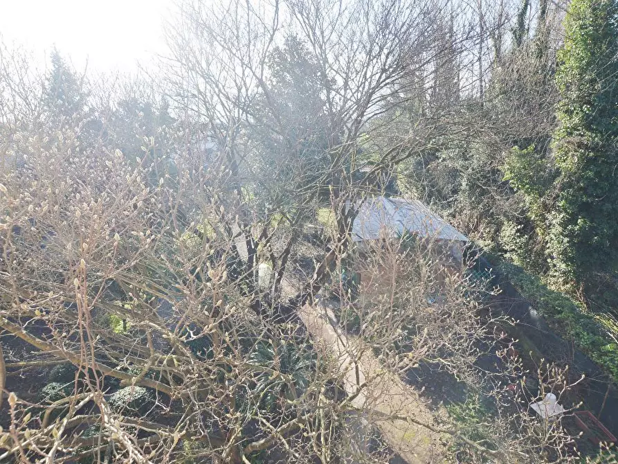 Immagine 21 di Casa bifamiliare in vendita  a Capannori