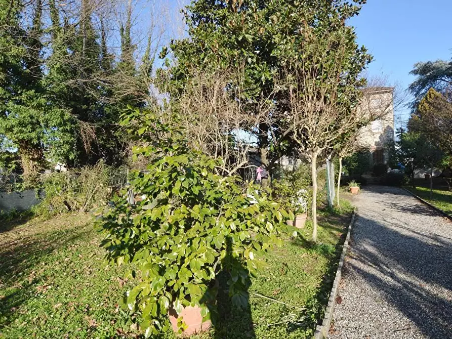 Immagine 1 di Casa bifamiliare in vendita  a Capannori