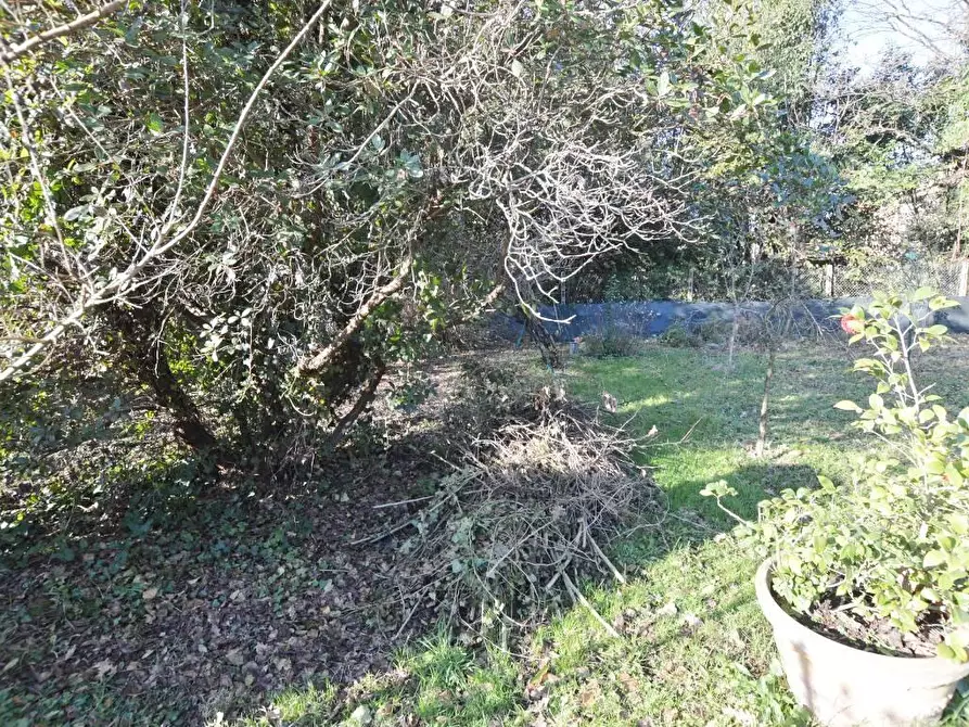 Immagine 24 di Casa bifamiliare in vendita  a Capannori