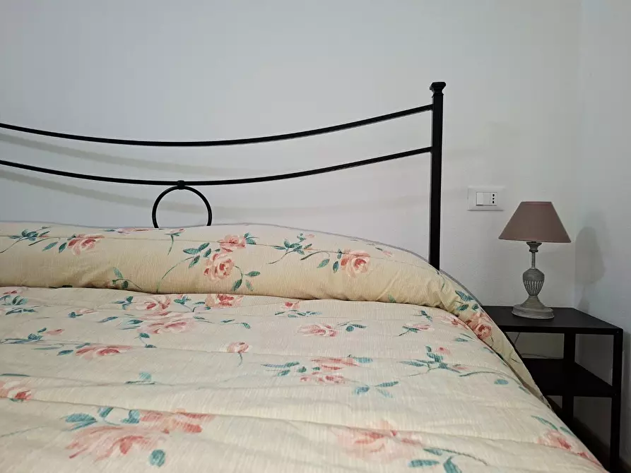 Immagine 46 di Appartamento in affitto  a Buti