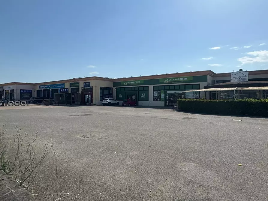 Immagine 1 di Capannone industriale in vendita  a Calcinaia